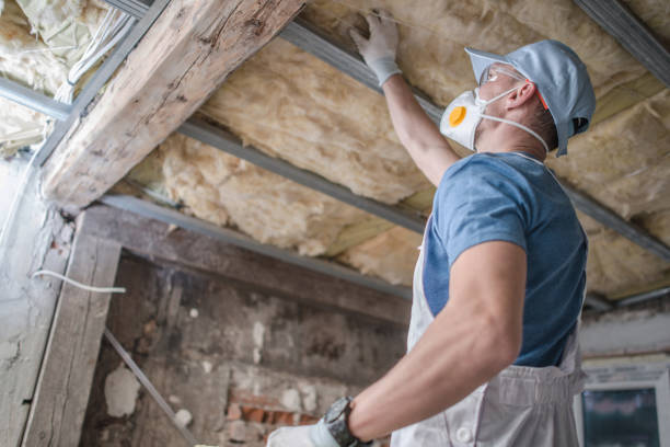 Best Cellulose Insulation  in Shell Lake, WI